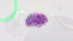 Os desafios éticos do uso da inteligência artificial