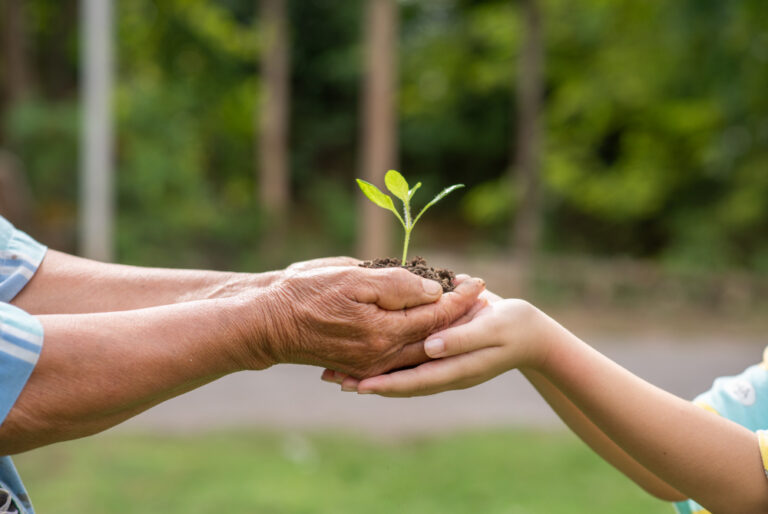 A sustentabilidade tornou-se um fator determinante para o sucesso das empresas no cenário atual. Mais do que uma responsabilidade ambiental, adotar práticas sustentáveis fortalece a reputação da marca, atrai consumidores conscientes e impulsiona a inovação. Organizações que integram essa abordagem em seus processos conquistam vantagens competitivas, ampliando sua relevância no mercado. Com a crescente preocupação global com o meio ambiente, governos, consumidores e investidores passaram a exigir posturas mais responsáveis. As empresas que se antecipam a essa demanda não apenas evitam riscos regulatórios, mas também conquistam novas oportunidades de negócios. A busca por eficiência energética, redução de desperdícios e uso racional de recursos não só reduz custos operacionais, como também reforça a imagem corporativa. Além disso, a sustentabilidade impulsiona o desenvolvimento de soluções inovadoras, promovendo diferenciação no mercado. Modelos de negócio que priorizam a economia circular, por exemplo, tornam-se cada vez mais atrativos. Dessa forma, empresas de diferentes setores podem alinhar crescimento econômico e preservação ambiental, consolidando-se como referências em suas áreas de atuação. Eficiência hídrica e responsabilidade ambiental A gestão sustentável dos recursos hídricos é essencial para empresas que buscam minimizar impactos ambientais e otimizar operações. A adoção de tecnologias para captação, reuso e tratamento de água tem se tornado um diferencial estratégico para diversos segmentos. Empresas que dependem do uso intensivo de água podem investir em soluções como sistemas de filtragem avançados e aproveitamento de águas pluviais. Essas medidas não apenas reduzem o consumo, mas também garantem maior independência hídrica, evitando oscilações no fornecimento. Nesse contexto, uma empresa de perfuração de poços artesianos pode desempenhar um papel crucial. Ao oferecer alternativas para a obtenção de água subterrânea, ela possibilita um abastecimento mais eficiente e sustentável para indústrias, comércios e propriedades rurais. O uso responsável dessa fonte hídrica, aliado a boas práticas de manejo, contribui para a preservação dos mananciais e reduz a dependência de sistemas públicos sobrecarregados. Além disso, tecnologias de monitoramento remoto e sensores inteligentes auxiliam na identificação de desperdícios e no controle preciso do consumo. Investir em eficiência hídrica não só preserva o meio ambiente, mas também reduz custos operacionais e fortalece a reputação da empresa diante de consumidores e investidores cada vez mais exigentes. Gestão de resíduos e economia circular O gerenciamento adequado dos resíduos empresariais é um dos pilares da sustentabilidade, trazendo benefícios econômicos e ambientais. Estratégias que reduzem a geração de resíduos e promovem a reutilização de materiais são essenciais para minimizar impactos negativos e atender às regulamentações ambientais. Uma empresa de gerenciamento de resíduos pode auxiliar nesse processo ao oferecer soluções para a destinação correta de materiais descartados. Isso inclui reciclagem, tratamento de resíduos perigosos e implantação de programas de logística reversa. Com isso, as empresas não apenas evitam penalidades legais, mas também contribuem para a economia circular, reduzindo a necessidade de extração de novos recursos. Algumas práticas que podem ser adotadas para melhorar a gestão de resíduos incluem: Implementação de processos para reduzir desperdícios desde a produção. Parcerias com recicladoras para reaproveitamento de materiais descartados. Uso de embalagens biodegradáveis ou reutilizáveis. Treinamento de funcionários para o descarte correto e eficiente de resíduos. Ao adotar um gerenciamento eficiente, as empresas reduzem custos operacionais, melhoram sua imagem institucional e atendem às exigências de um mercado cada vez mais consciente. Consultoria ambiental como aliada estratégica Para empresas que buscam se tornar mais sustentáveis, contar com especialistas pode ser um diferencial competitivo significativo. O suporte técnico de uma empresa de consultoria ambiental auxilia na implementação de práticas sustentáveis, garantindo conformidade legal e eficiência nos processos produtivos. Consultorias ambientais oferecem diagnósticos detalhados sobre o impacto das atividades empresariais e desenvolvem estratégias para mitigar danos ambientais. Além disso, orientam sobre certificações ambientais, como ISO 14001, que agregam credibilidade e reconhecimento às empresas que adotam práticas responsáveis. Outra vantagem desse serviço é a identificação de oportunidades de inovação sustentável. Tecnologias para redução de emissões, reaproveitamento de insumos e eficiência energética podem ser aplicadas de forma personalizada para cada setor. Assim, as empresas conseguem aliar crescimento econômico e responsabilidade ambiental sem comprometer sua competitividade. Empresas que investem nessa abordagem não apenas atendem às exigências regulatórias, mas também se destacam em um mercado que valoriza cada vez mais a transparência e o compromisso ambiental. Dessa forma, a sustentabilidade deixa de ser um desafio e se transforma em uma vantagem estratégica para o crescimento dos negócios. Destinação correta de eletrônicos e responsabilidade social O descarte inadequado de resíduos eletrônicos tem gerado sérios impactos ambientais e sociais. Empresas que adotam políticas de descarte consciente demonstram compromisso com a preservação ambiental e evitam problemas relacionados à contaminação do solo e da água. A coleta de eletrônicos é uma iniciativa essencial para minimizar esses impactos. Com o avanço tecnológico, dispositivos eletrônicos tornam-se obsoletos rapidamente, gerando um volume crescente de resíduos. Destinar corretamente esses materiais para empresas especializadas permite a recuperação de componentes e a reciclagem de materiais valiosos, reduzindo a necessidade de extração de novas matérias-primas. Além do benefício ambiental, a destinação adequada de eletrônicos pode ter um impacto social positivo. Muitos equipamentos descartados ainda podem ser reaproveitados por organizações sociais, escolas e projetos comunitários, ampliando o acesso à tecnologia. Empresas que implementam programas de descarte responsável não apenas fortalecem sua imagem institucional, mas também contribuem para a inclusão digital e o desenvolvimento sustentável. Ao incentivar a economia circular e a reutilização de materiais, as empresas reforçam seu compromisso com a sustentabilidade, alinhando seus negócios às expectativas de um mercado cada vez mais consciente e exigente.
